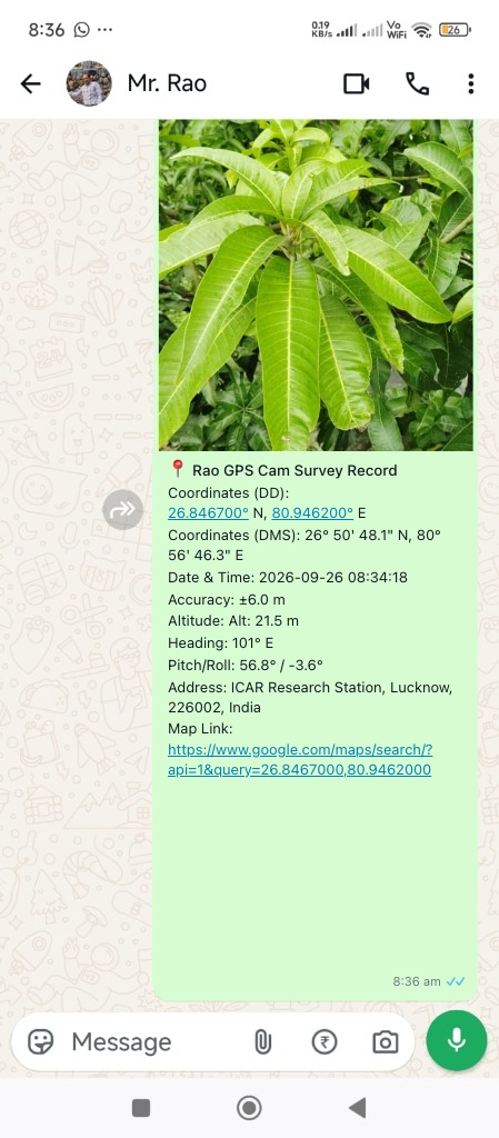 WhatsApp Survey Record Sharing